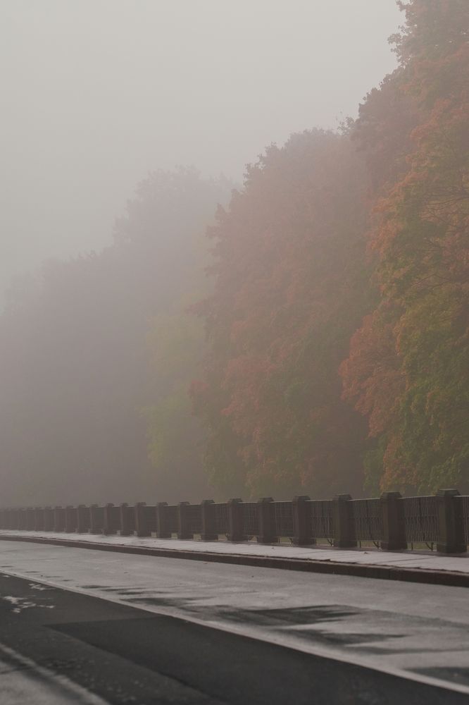 Фотография автора Владимир Коровяковский