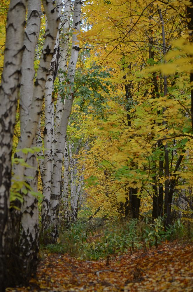 Photograph by Ольга Мокрова