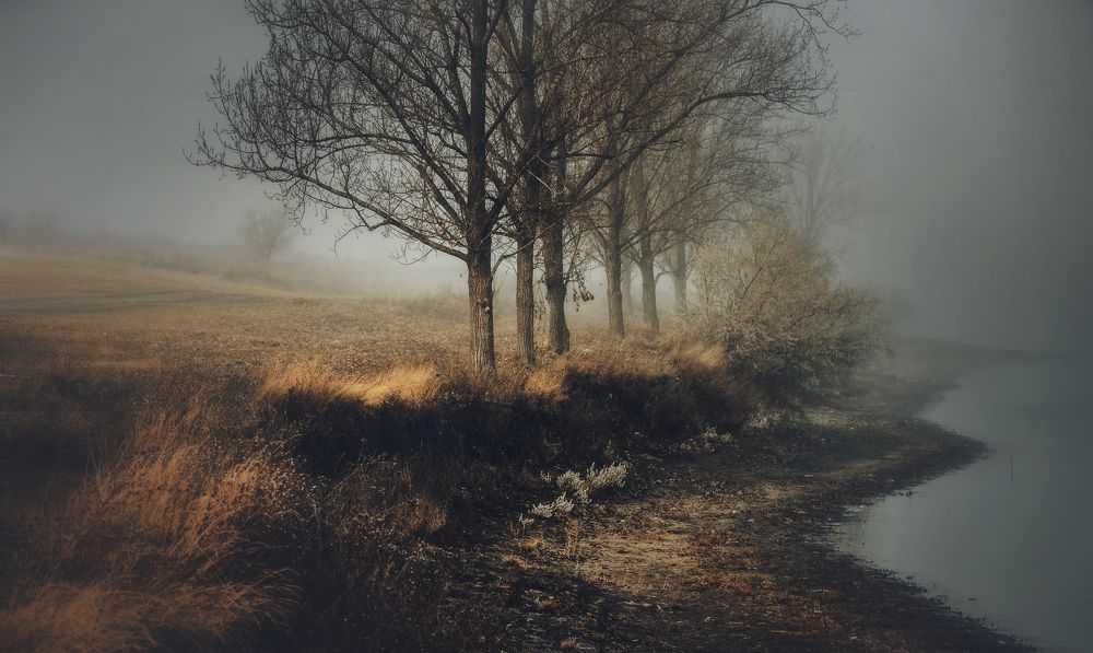 Фотография автора 