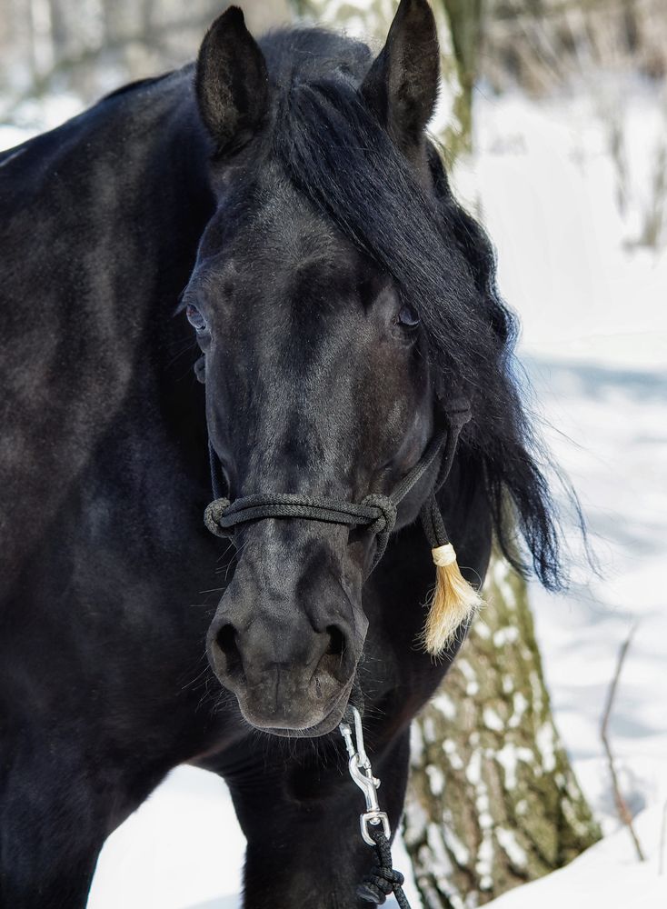 Photograph by Ольга Еремеева