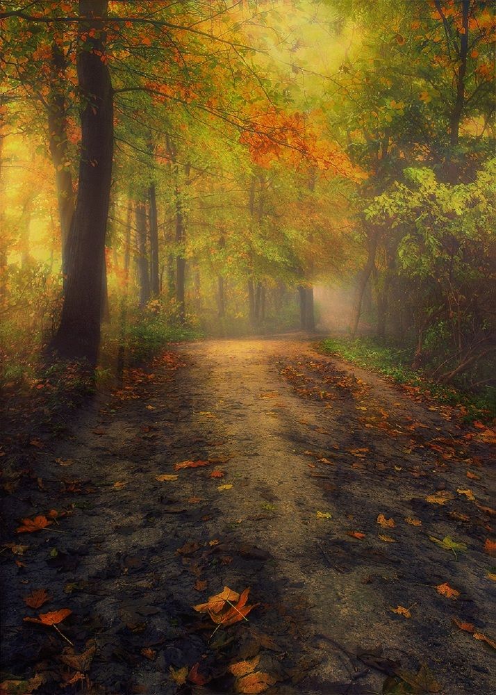 Photograph by Владимир