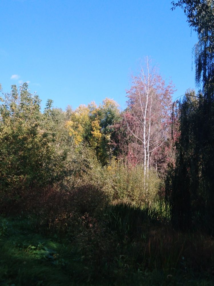 Photograph by Янина Милош