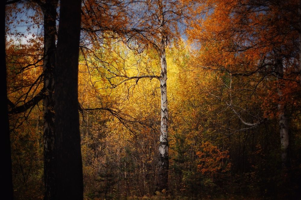 Photograph by Анастасия Астафьева