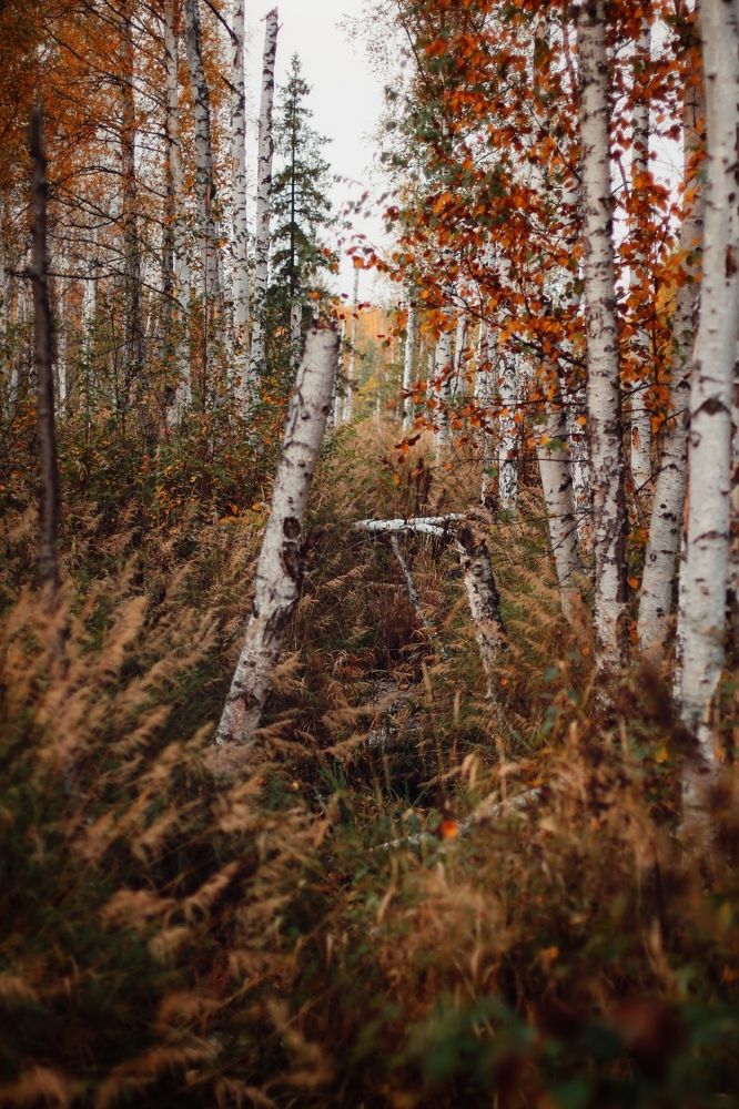 Photograph by Анастасия Астафьева