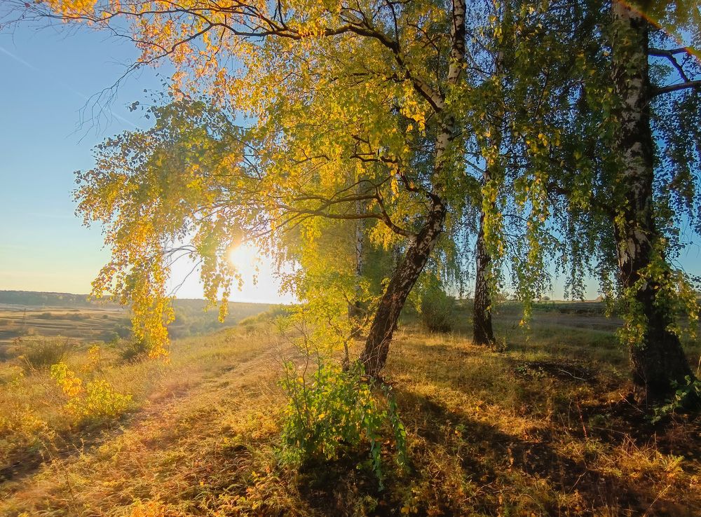 Photograph by Светлана Кондрашова