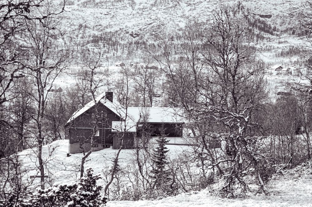 Photograph by Ольга Кудина