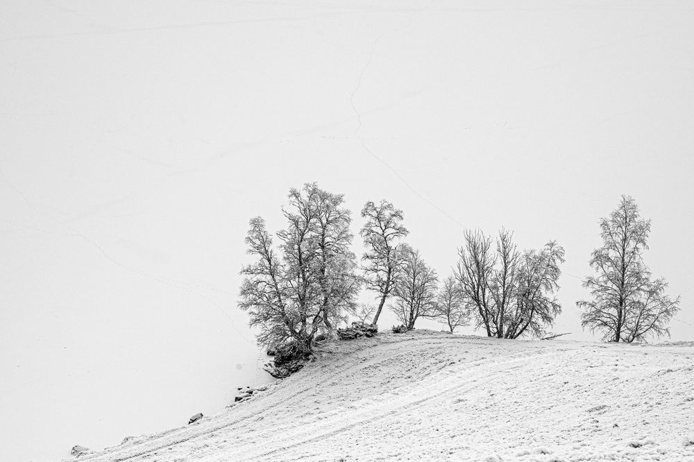 Photograph by Ольга Кудина