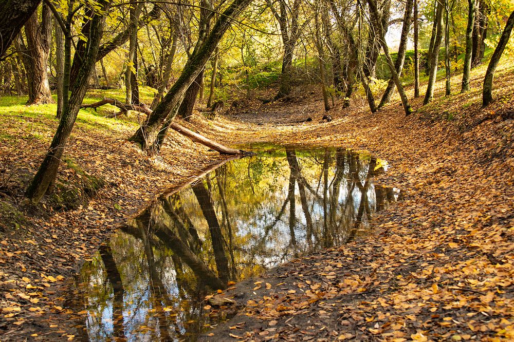 Photograph by Алла Шевченко