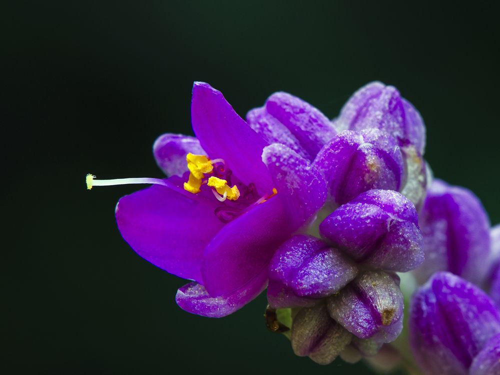 Photograph by Luiz Augusto Magina