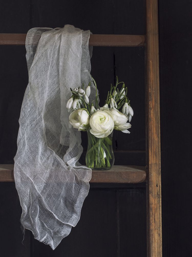 Фотография автора Uljana Kuchar