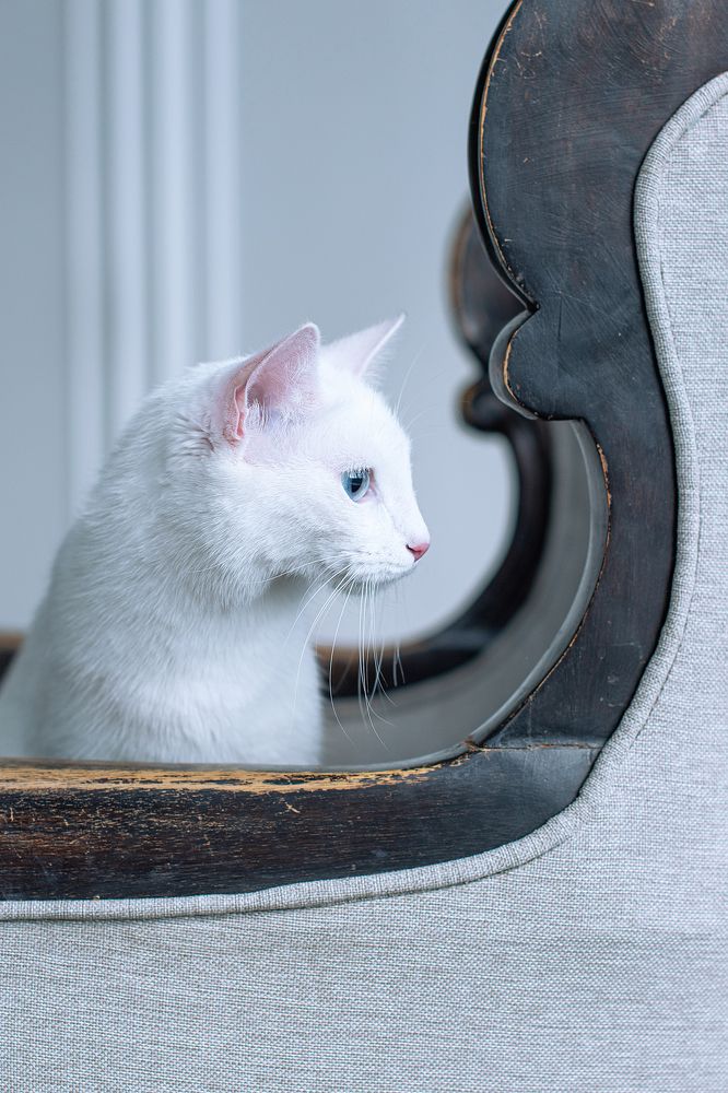 Фотография автора Светлана Дроголюбова