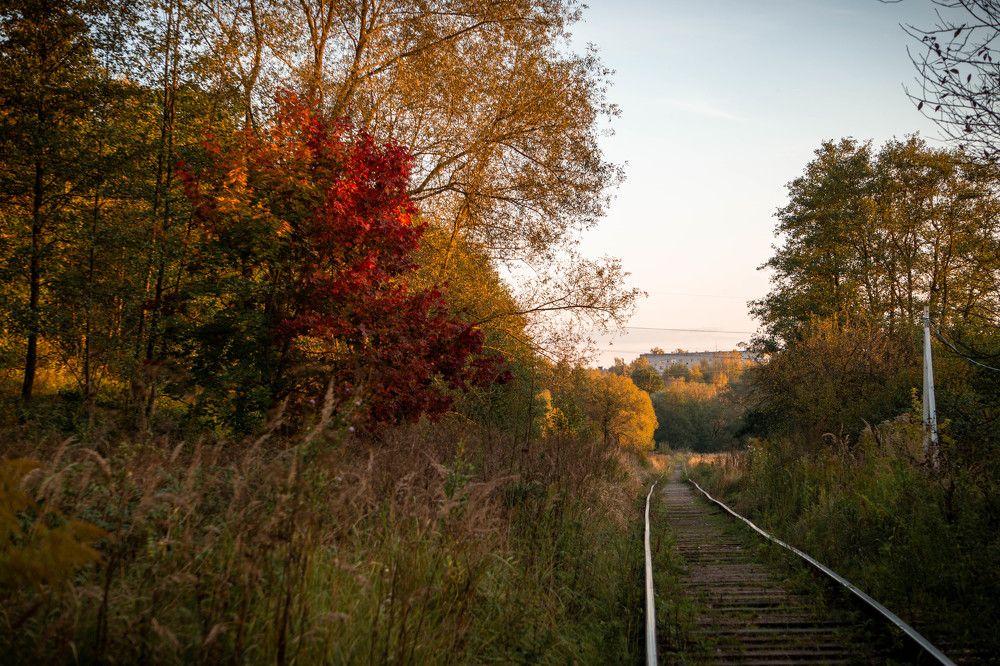Photograph by Александр Ходакин