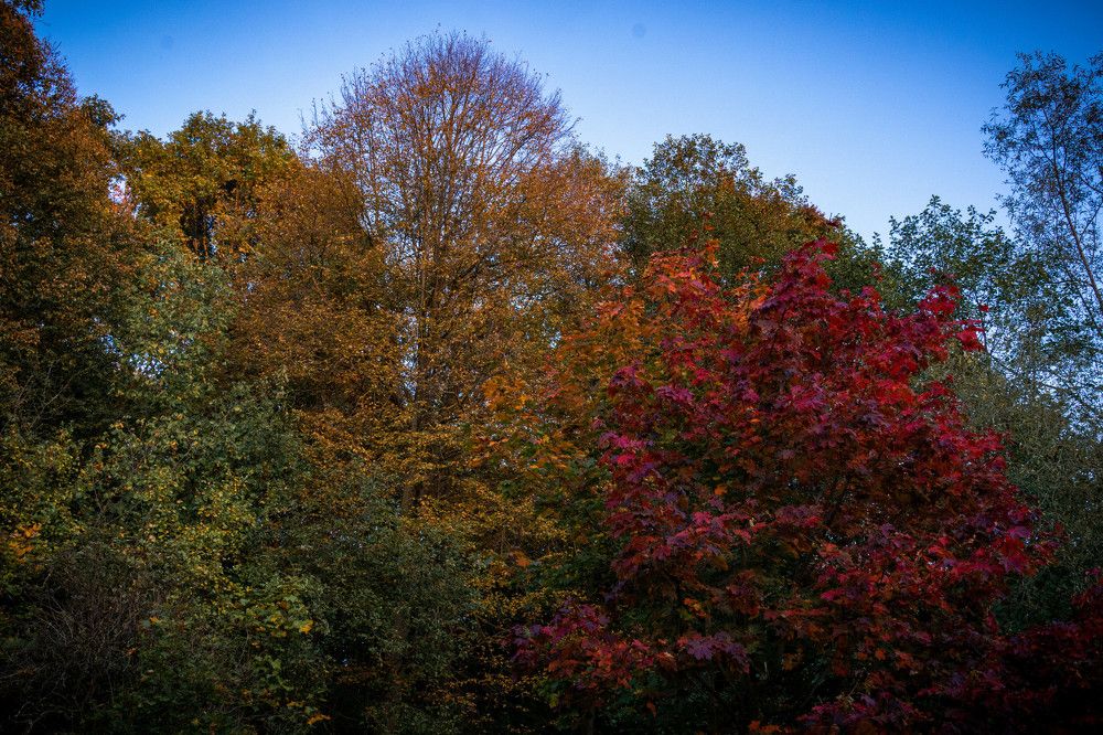 Photograph by Александр Ходакин