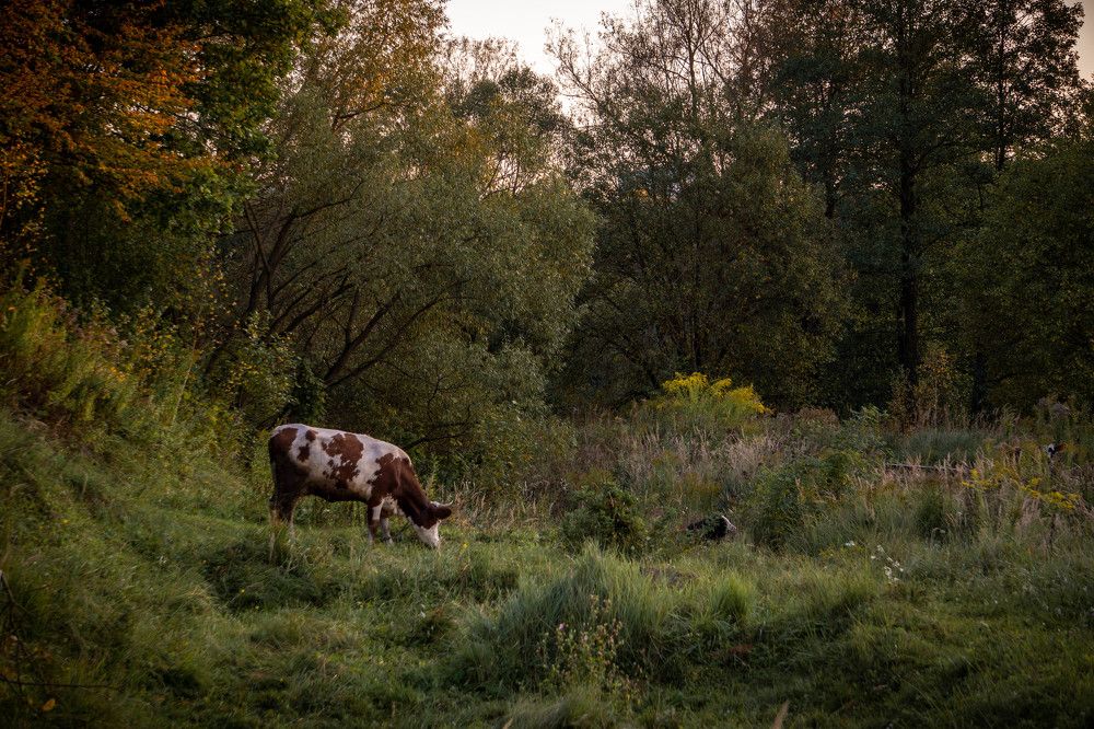 Photograph by Александр Ходакин