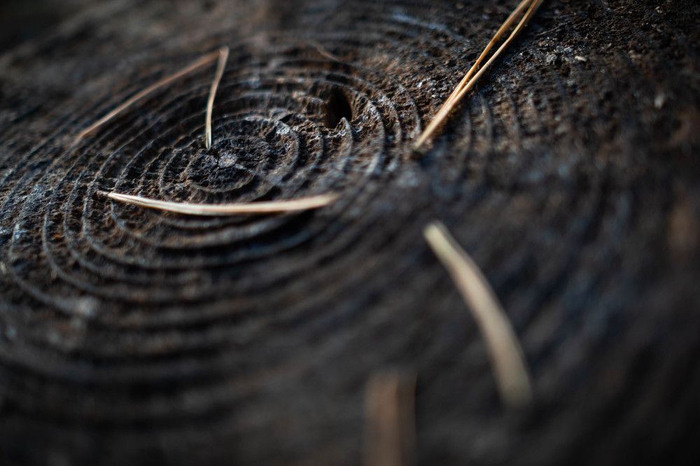 Photograph by Александр Ходакин