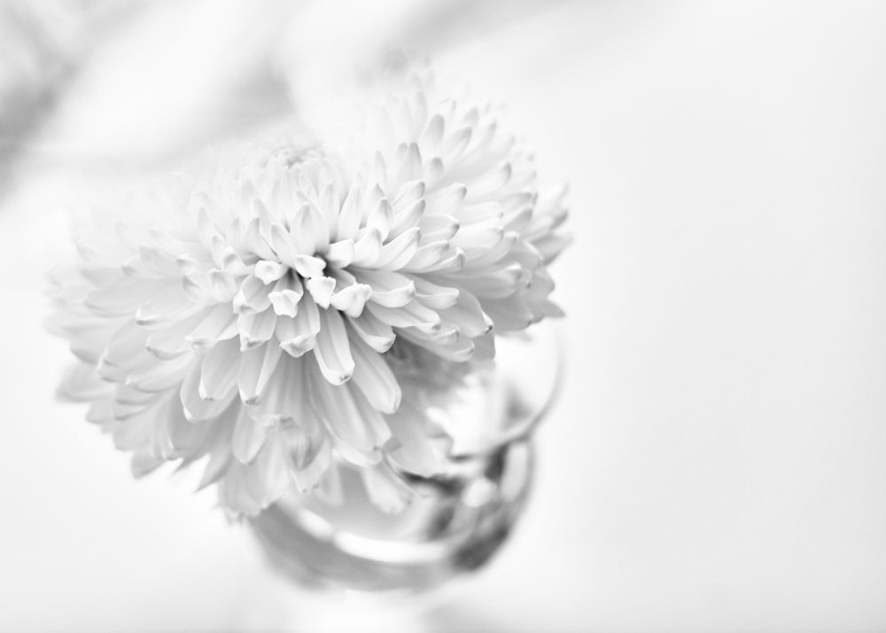 Photograph by Natalya Alekseenko