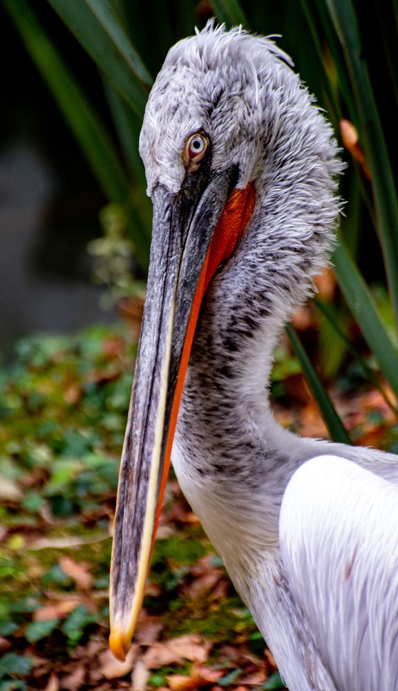 Фотография автора Гомолко Мария