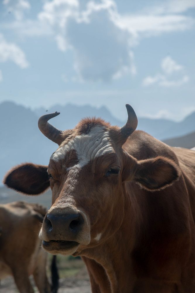 Фотография автора Гомолко Мария