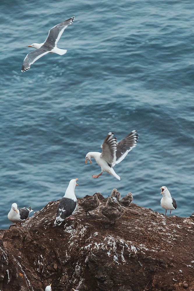 Photograph by Романова Марина