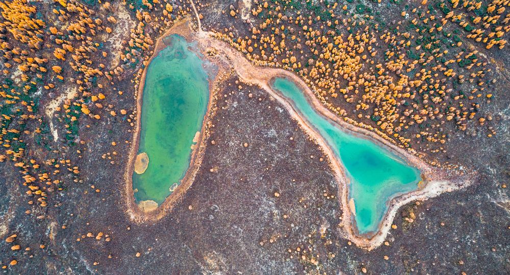 Фотография автора Антон Сандалов