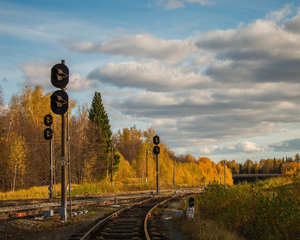 Фотография автора олег романов