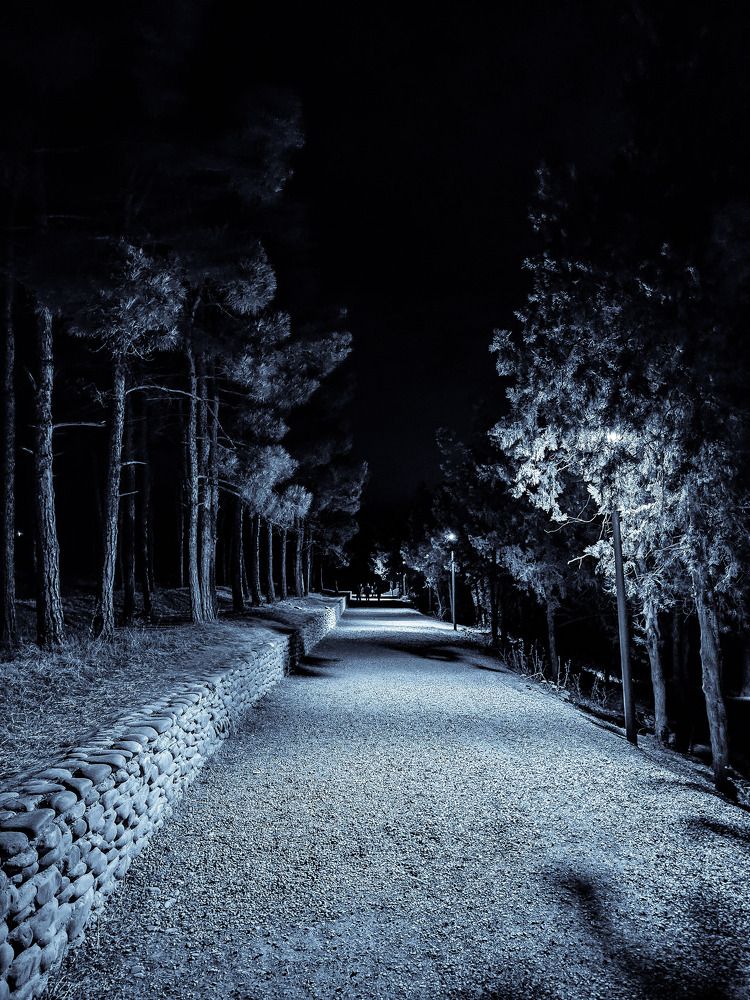 Photograph by Рустам Гаджиев