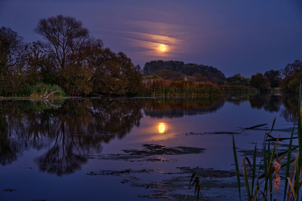Полнолуние