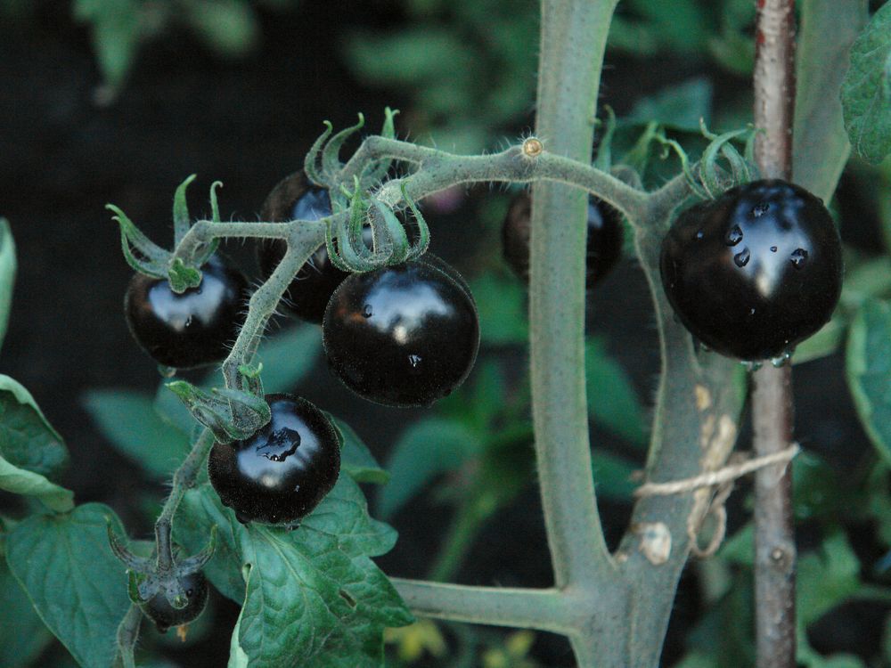 Photograph by Игорь Шевердин