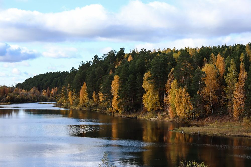 Фотография автора Елена Разина