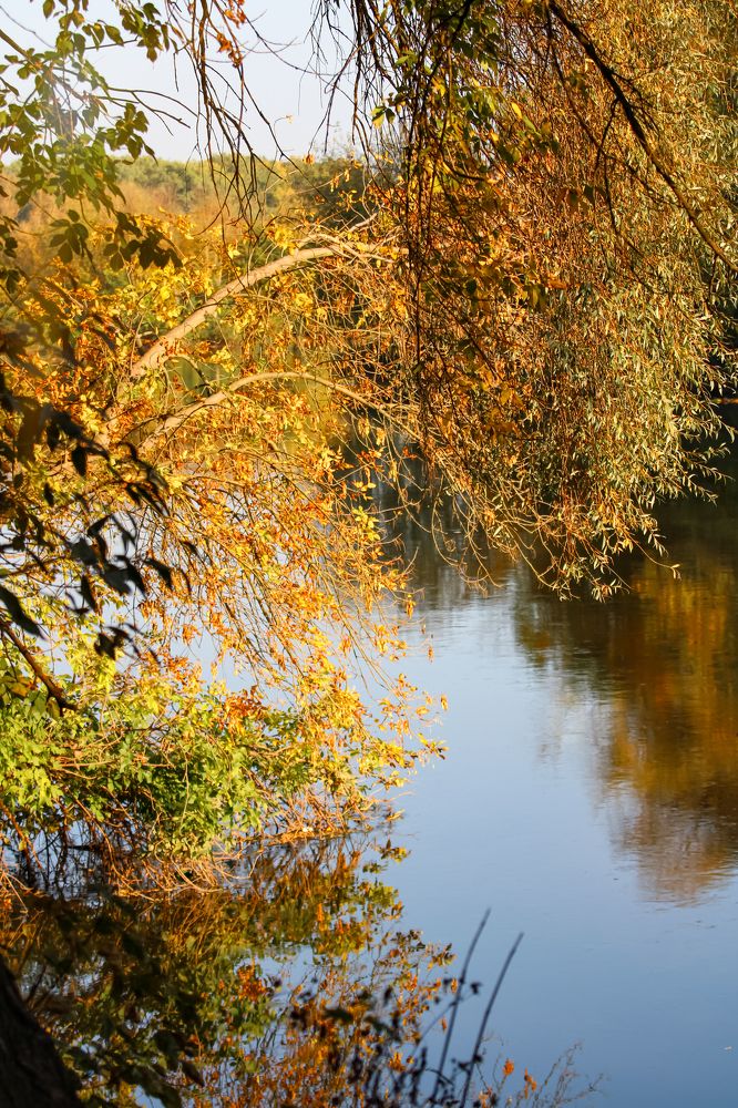 Photograph by Светлана Солдатченкова