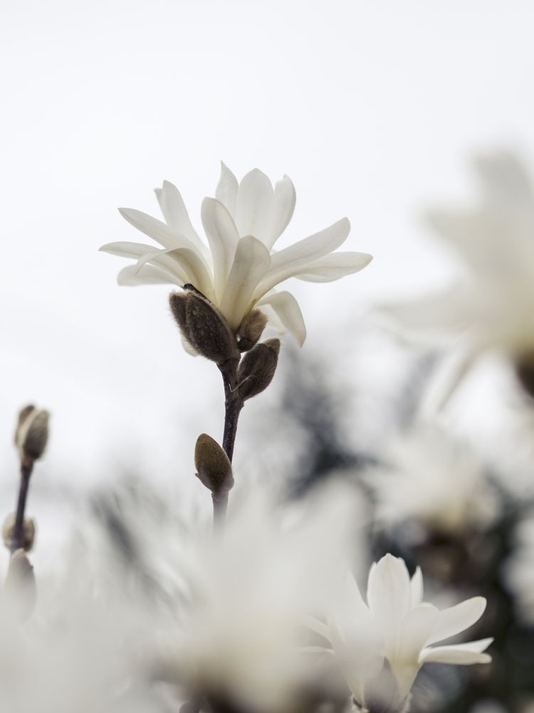 Фотография автора Uljana Kuchar