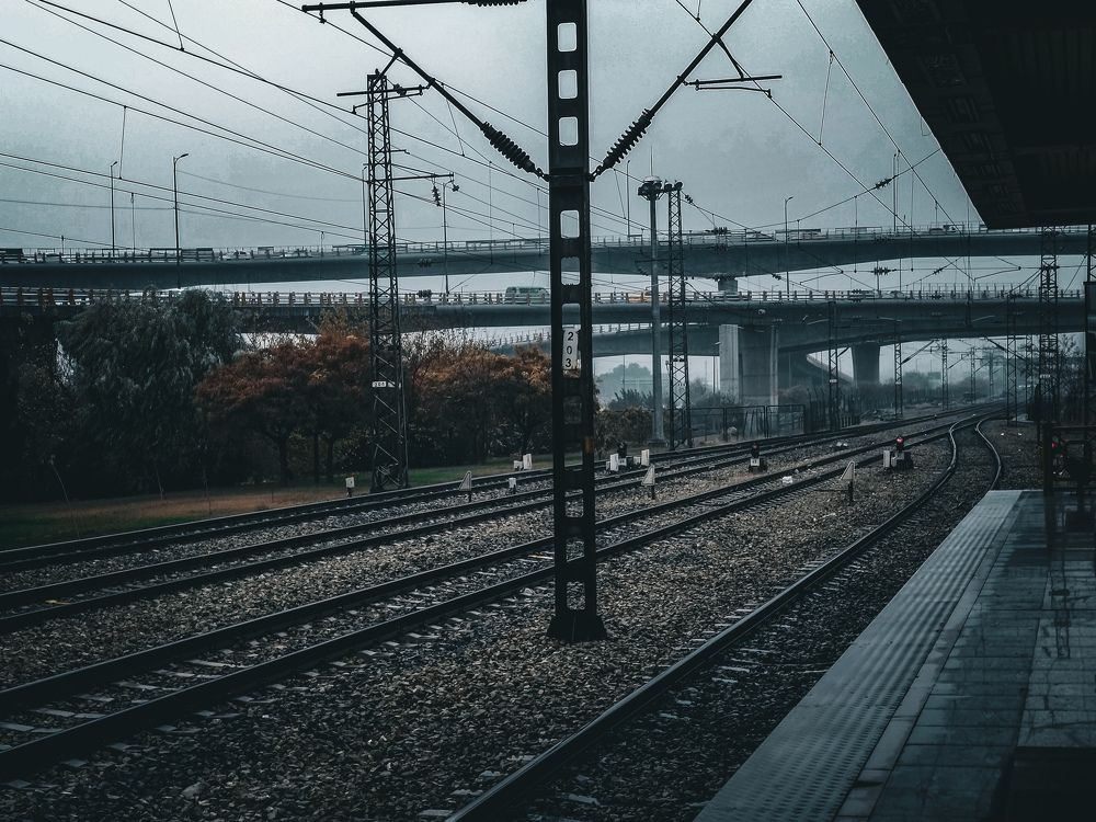 Фотография автора Anahita Ghelichkhani