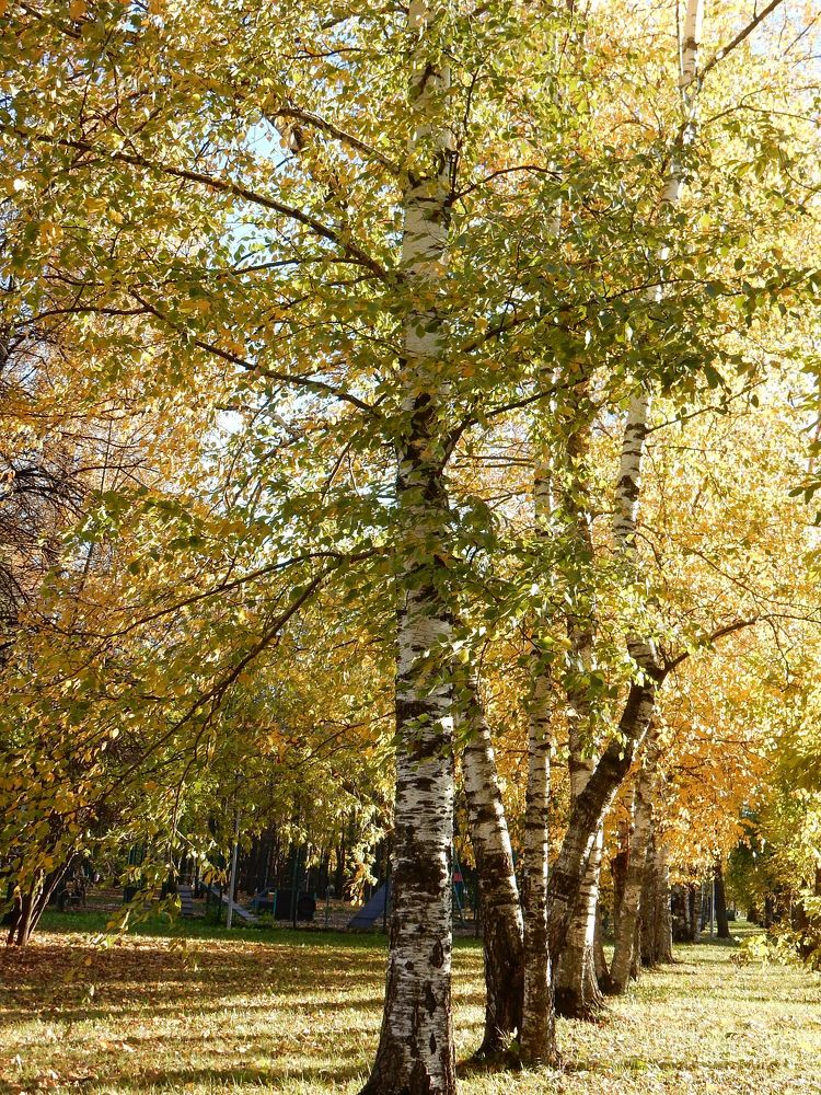 Photograph by Георгий Калякин