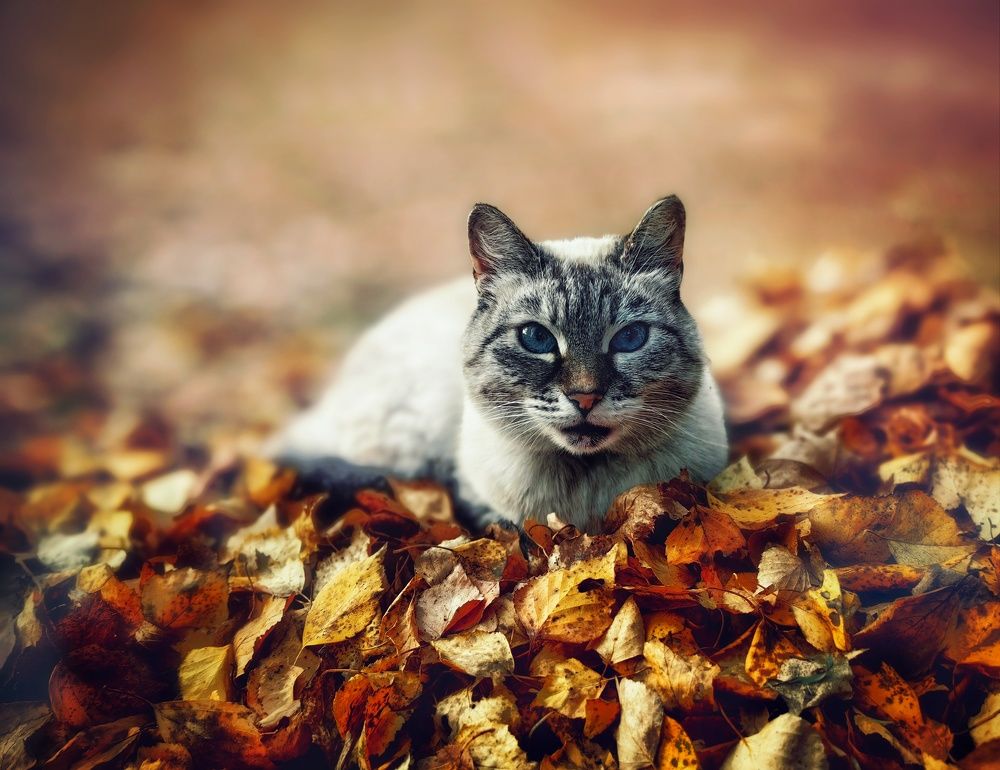 Photograph by Ekaterina Fadeeva