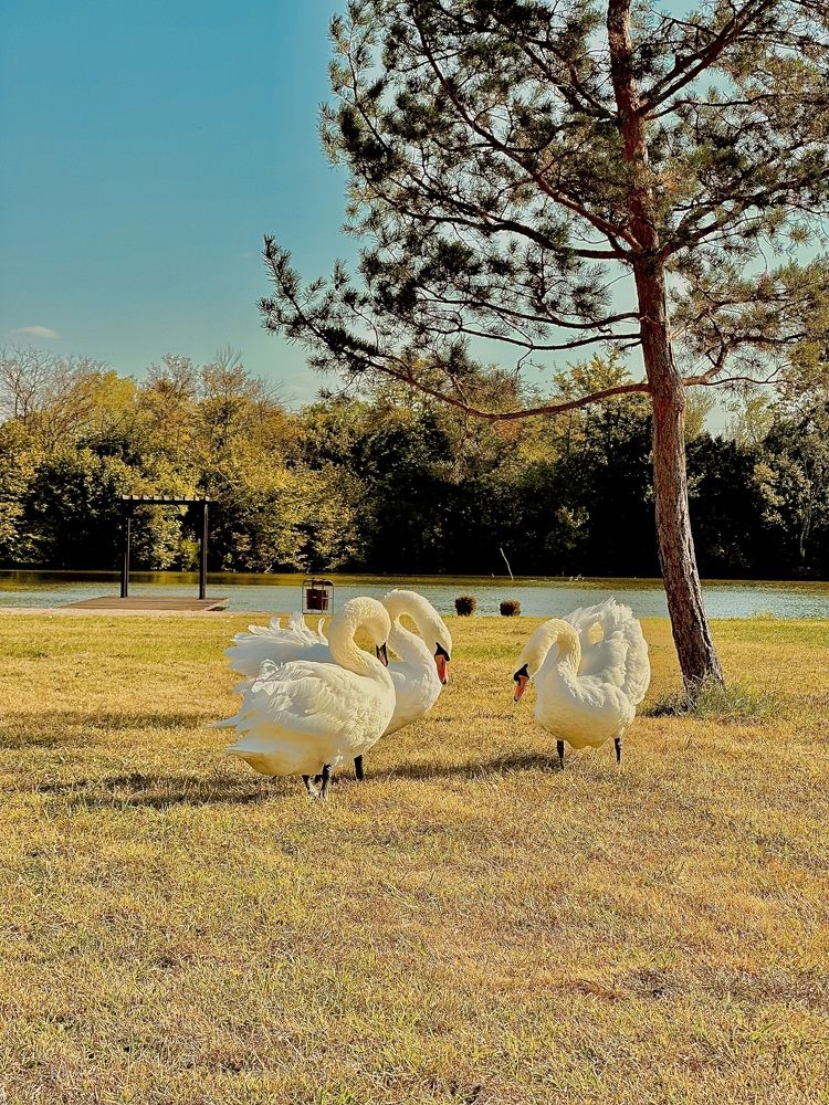 Photograph by Фатима Хуштова