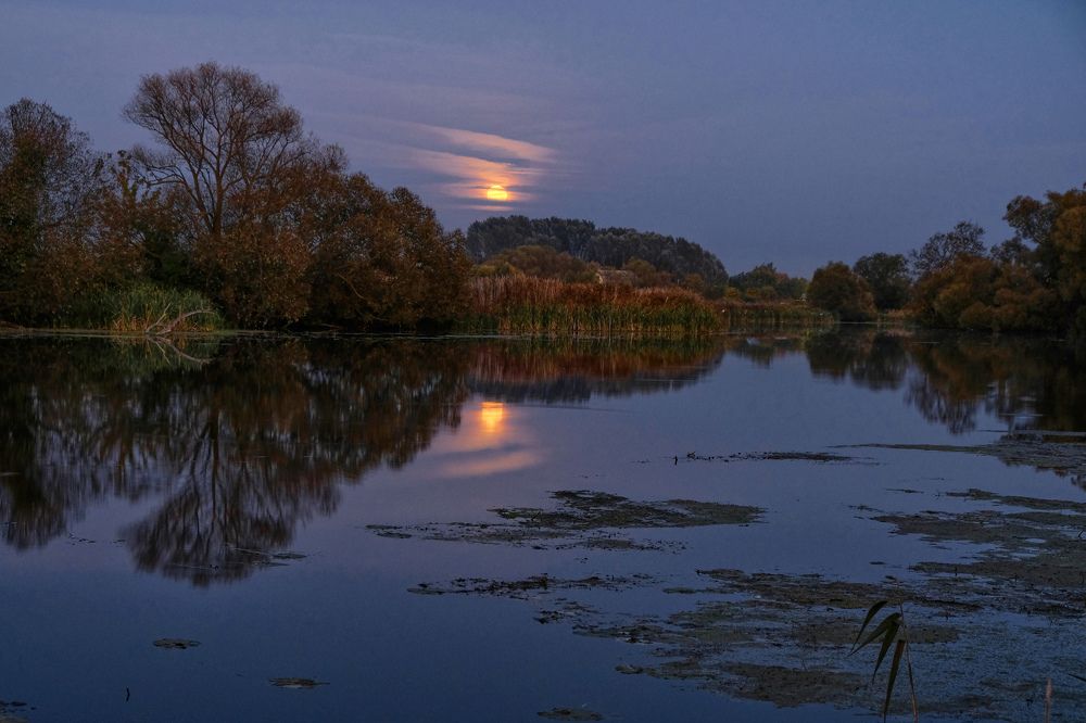Фотография автора Виктор Долматов