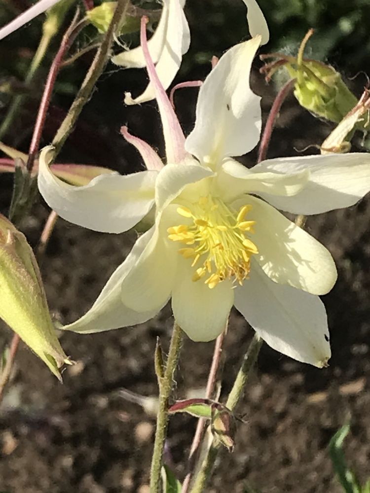 Photograph by Татьяна Гуськова