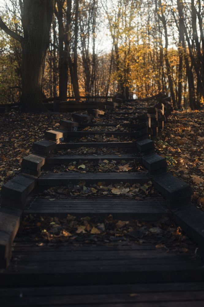 Photograph by Евгений Адуцкевич