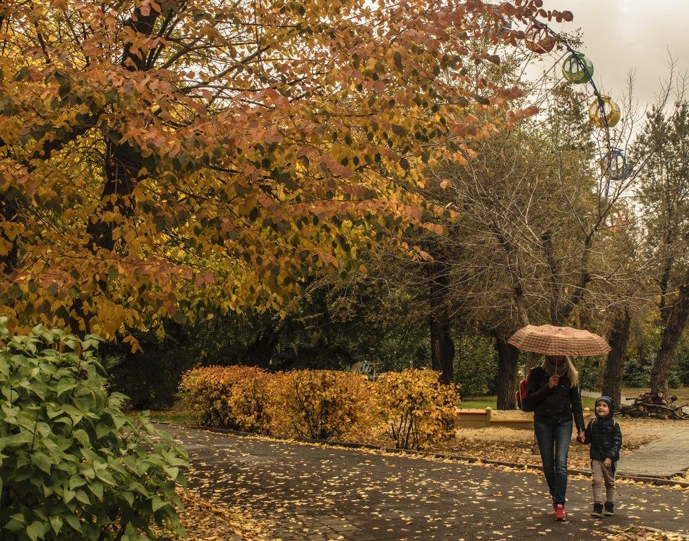 Photograph by Сергей Нестеров