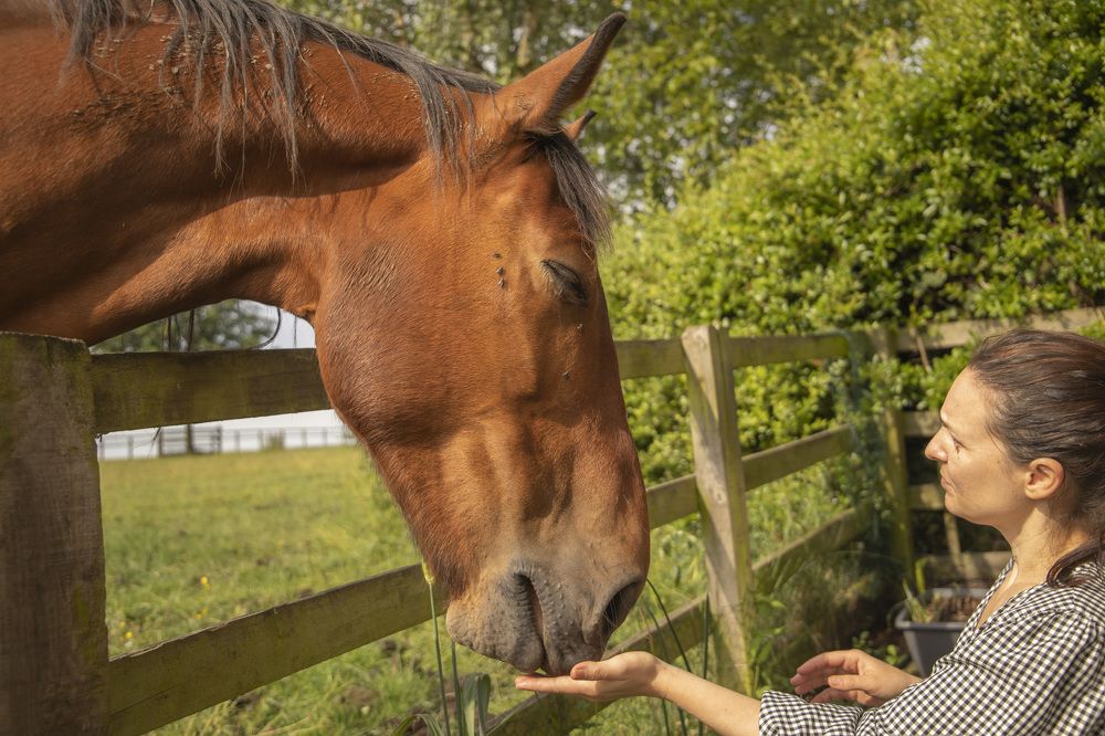 Photograph by Natalja Poplavska