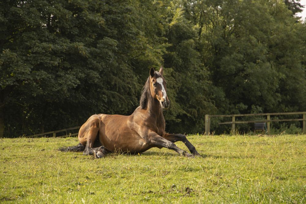 Photograph by Natalja Poplavska