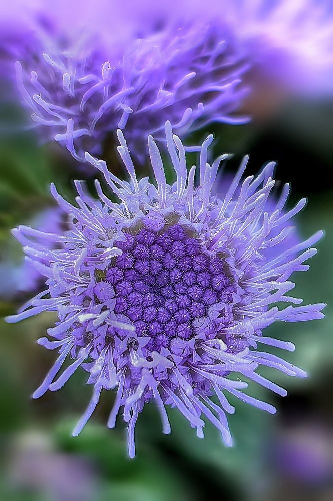 Photograph by Татьяна Бравая