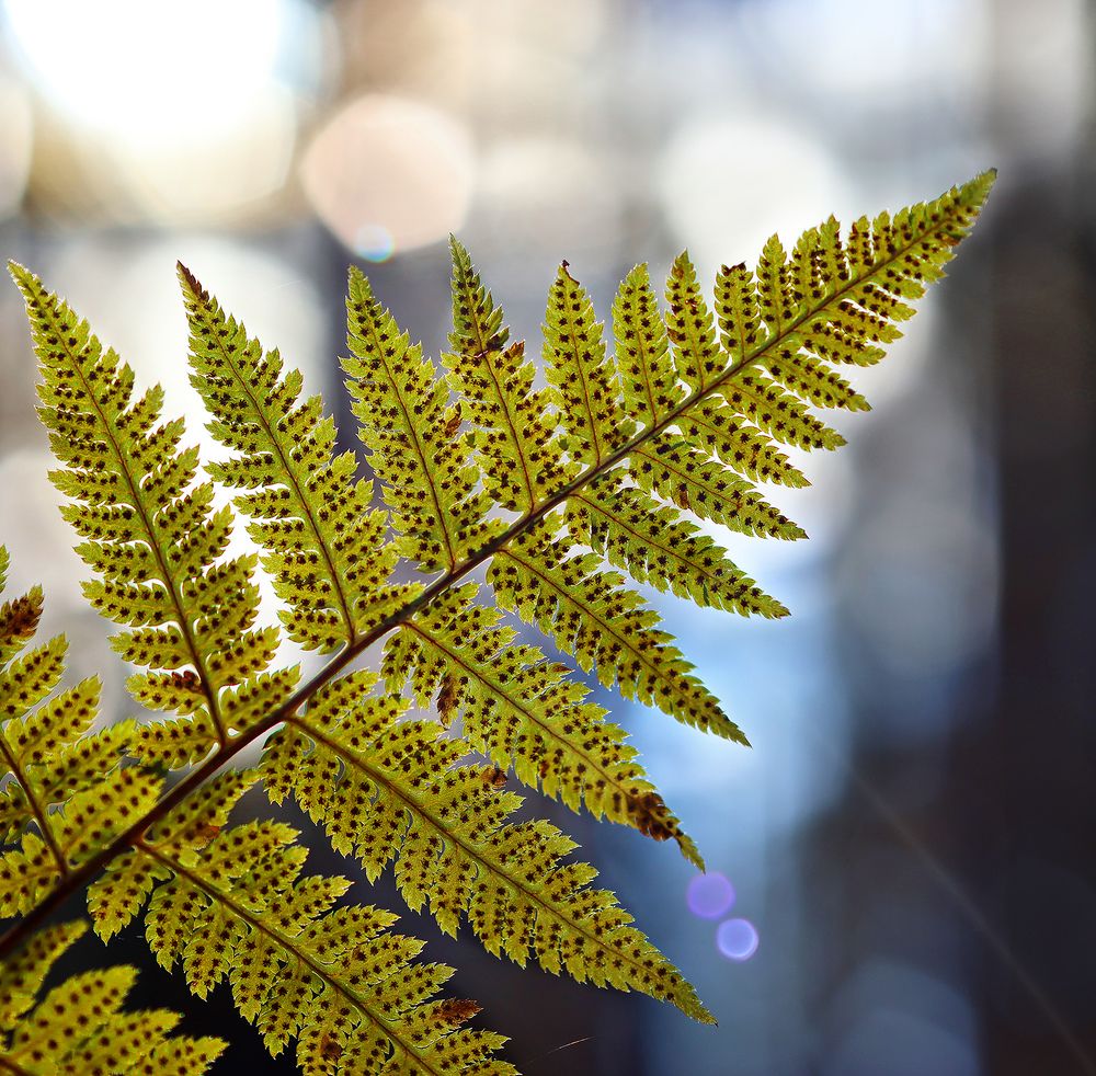 Photograph by Олег Фокин