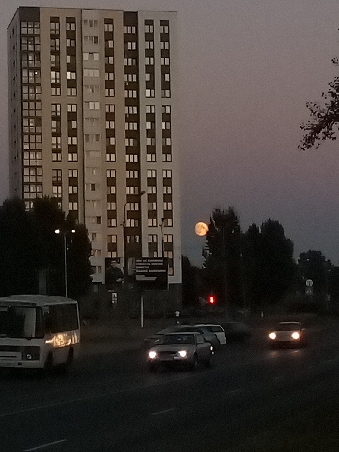 Photo #9608179