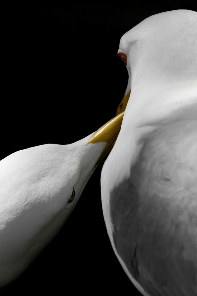 Фотография автора Aymeric