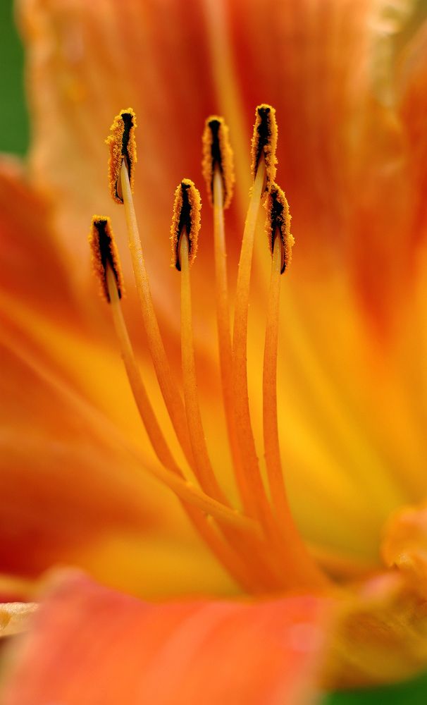 Photograph by Олег Фокин