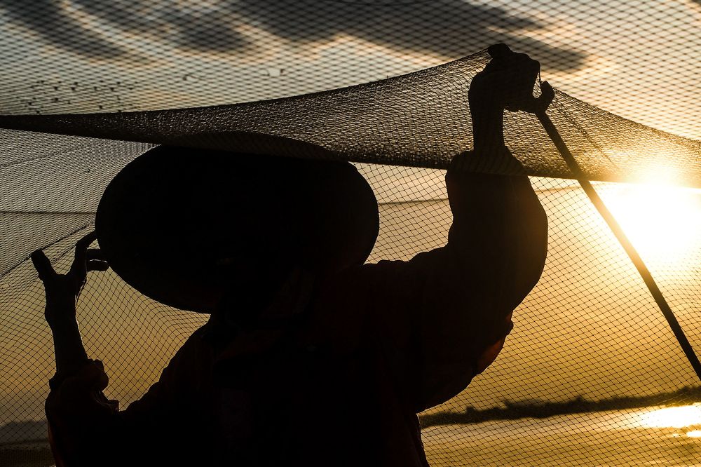 Фотография автора Aymeric