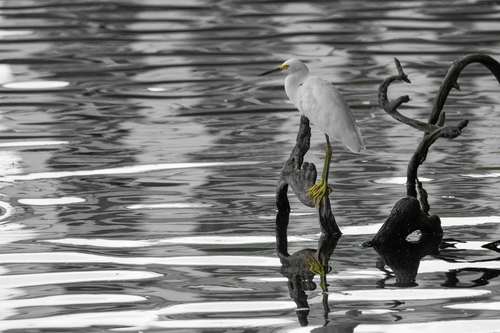 Фотография автора Erik Nelson