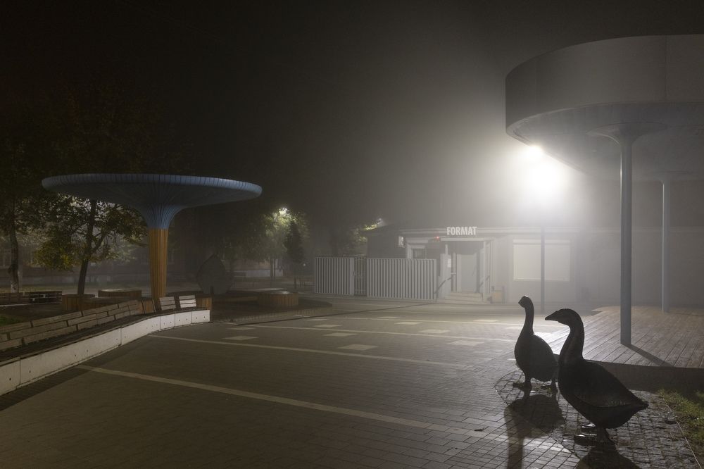 Photograph by Пономарев Илья