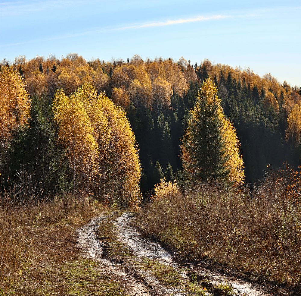 Photograph by Олег Фокин